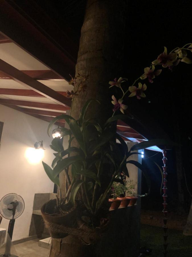 LOHAS Villa Hiriketiya-Air Conditioned Rooms -WiFi Dikwella Esterno foto