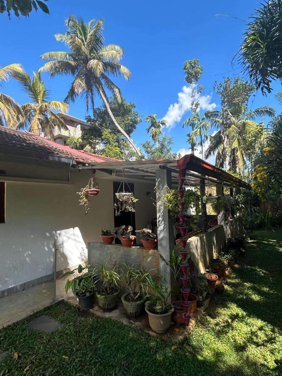LOHAS Villa Hiriketiya-Air Conditioned Rooms -WiFi Dikwella Esterno foto