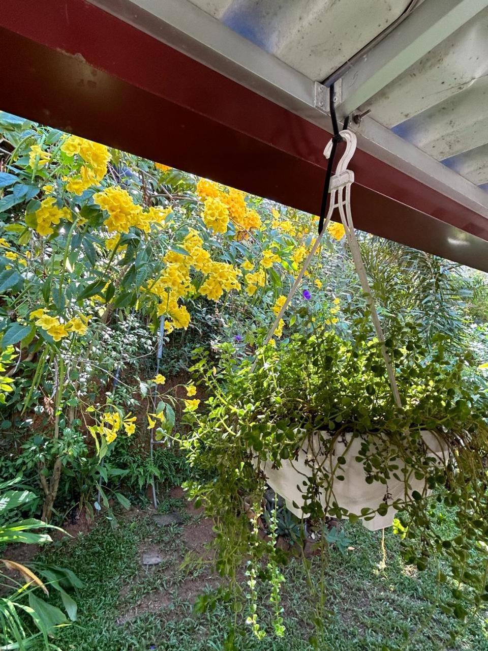 LOHAS Villa Hiriketiya-Air Conditioned Rooms -WiFi Dikwella Esterno foto