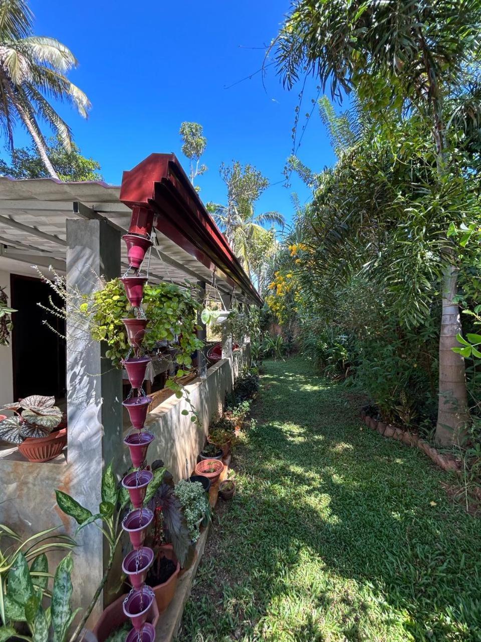 LOHAS Villa Hiriketiya-Air Conditioned Rooms -WiFi Dikwella Esterno foto